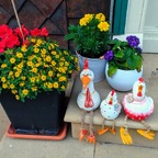 Pfingstreffen 2025 (4)